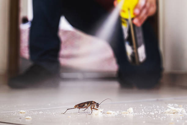 Pest Prevention Services in Willow Creek, CA